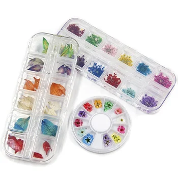 

Mixed Dried Flowers 3D Nail Art DIY Bottle Decoration Flower Tips DIY