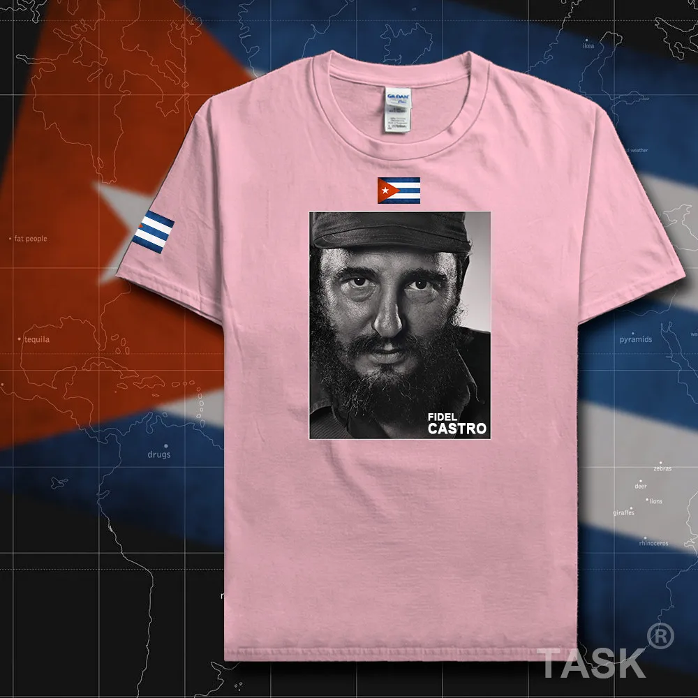 HSPE_Castro05_T01lightpink