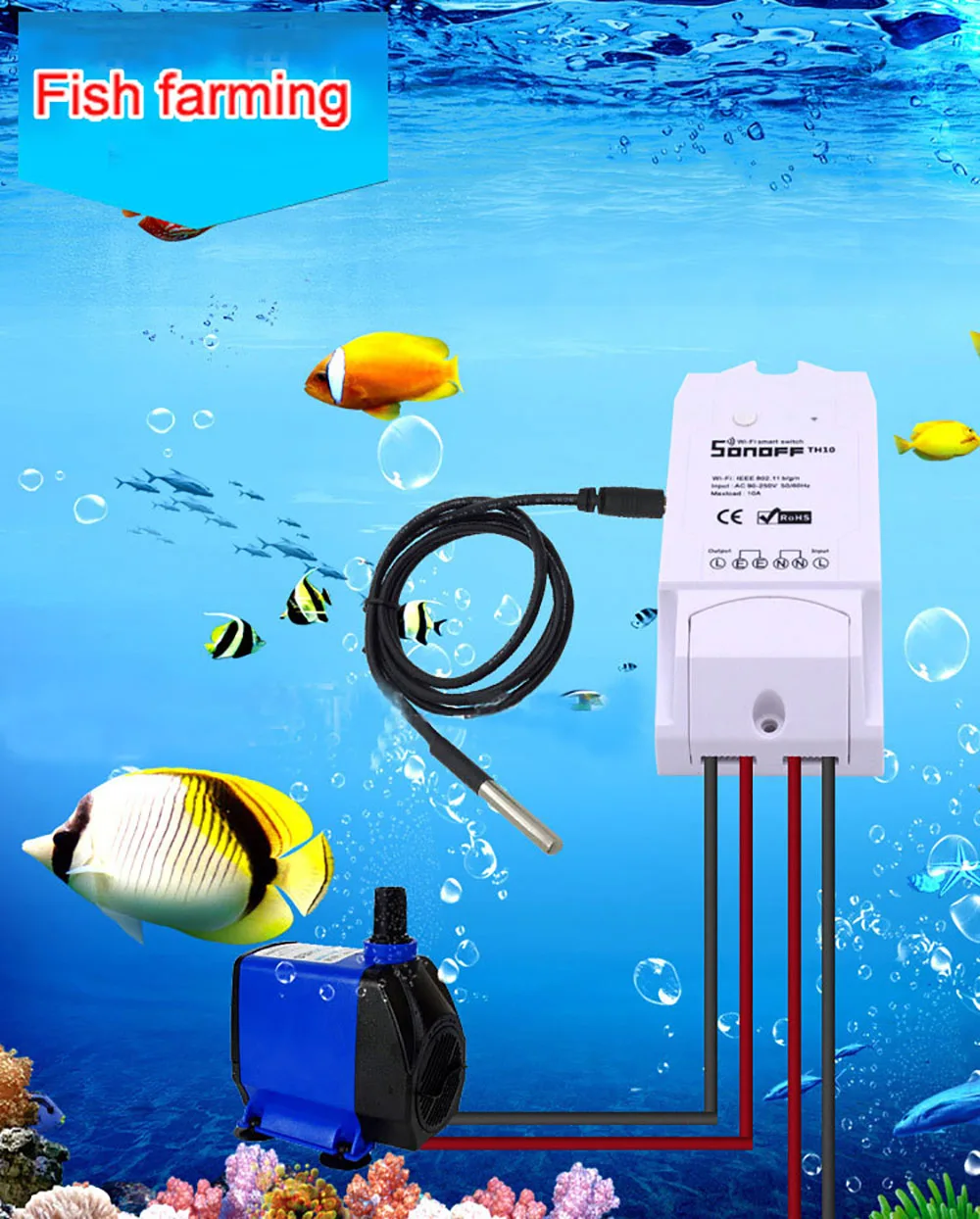 HTB1POarSVXXXXXuapXXq6xXFXXXn.jpg?size=276987&height=1244&width=1000&hash=2596e088bc3afd89d98902194dcd509d