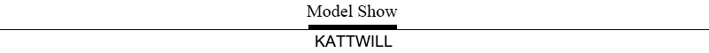 ModelShow