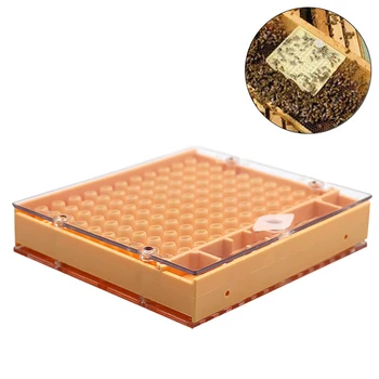 

1PCS Bees professtional bee rearing box cultivate isolation cup cell plastic tools equipment apiculture supplies