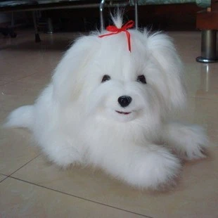 犬のおもちゃの装飾品白い長い髪シーズー犬vip犬 犬のおもちゃ Aliexpress