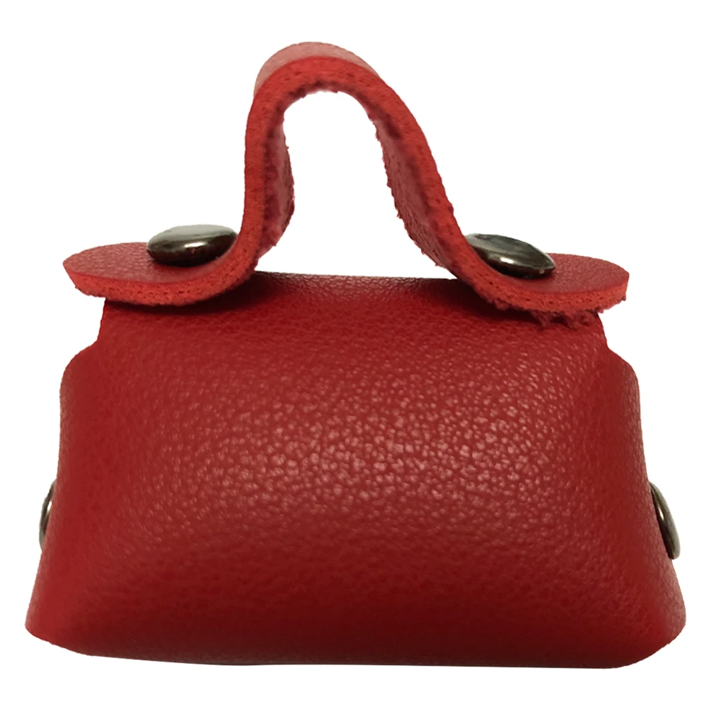 1Xbag005A-4