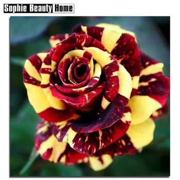 

DIY Diamond Embroidery 5D Crystals Diamond Mosaic Flower Rose Rhinestones Diamond Painting Cross Stitch Kits Gift 060510