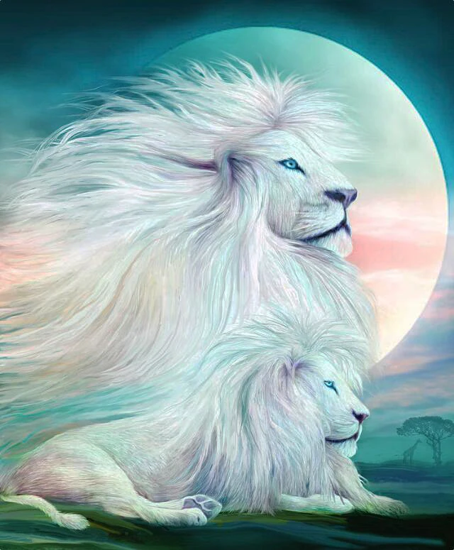 HTB19pqbdrvpK1RjSZPiq6zmwXXaD