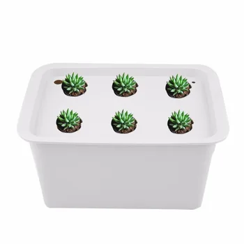 

garden hydroponics systems gardening jardin nursery pots plant seedlings for sale seedling tray orchid pot green house