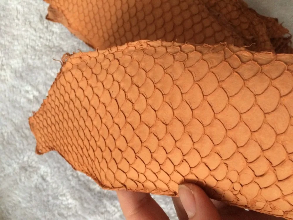 Orange Couleur Véritable Peau de Poisson