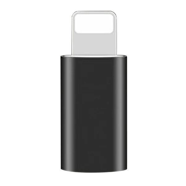 ACCEZZ Mini Micro USB для освещения для Apple адаптер для iphone X XS XR 6 7 5 Plus синхронизация данных Зарядка OTG конвертер для ipad Mini - Цвет: Черный