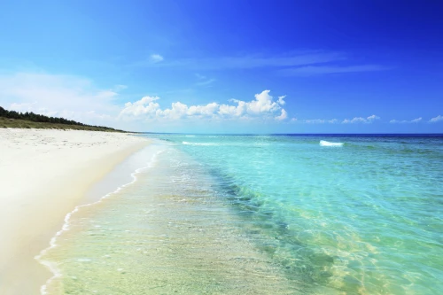 

Modern Print Beach Seascape Oil Painting Ocean Beach Sea Wave Canvas Painting Wall Art Picture Painting for Home Decor