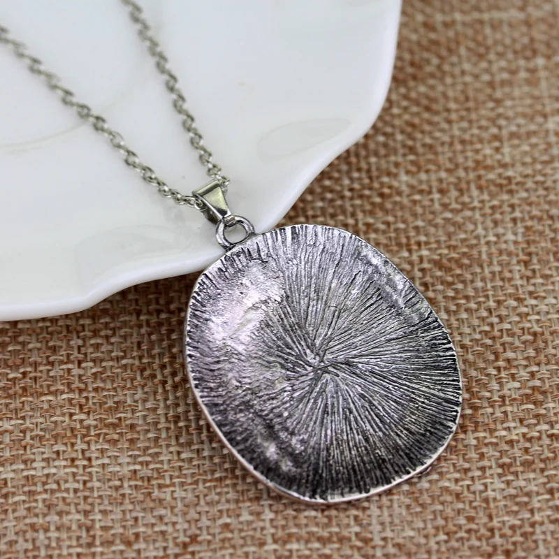 HTB1W.wdRVXXXXaoapXXq6xXFXXXb