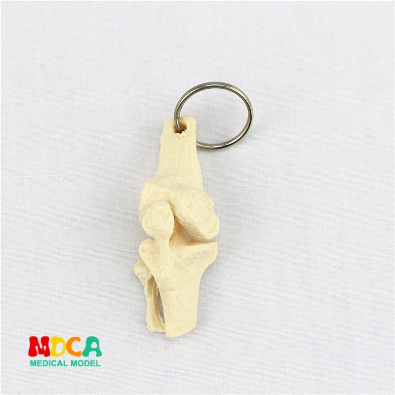 

human joint key lock ornament gift pendant key buckle human.organ anatomy medical teaching toy YSK018