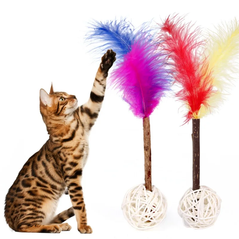 

2019 Cat Funny Balloy With Bell And Feather Pet Interactiveoy For Kitten Kitty Natural Rattan Scratch Ball Pet Catoy