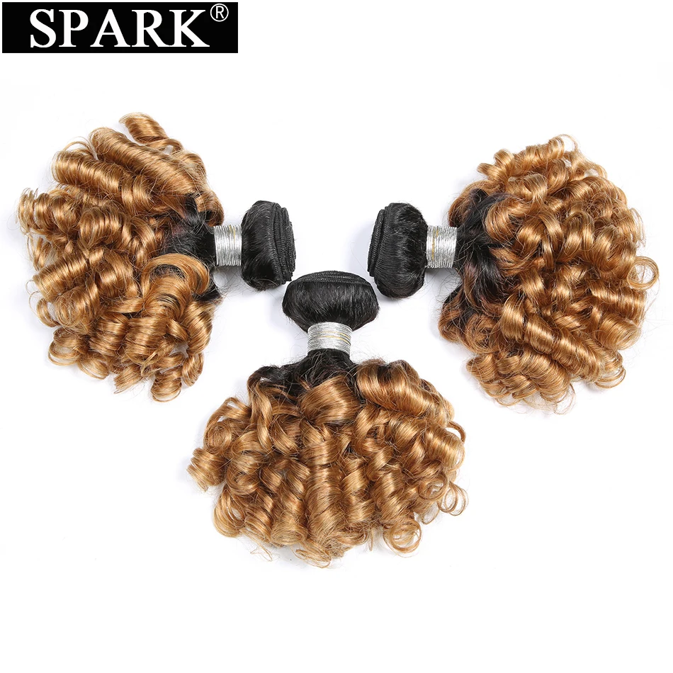 Spark Brazilian Bouncy Curly Hair Bundles 100% Human Hair Remy Hair Extensions 8\ Spark Brazilian Bouncy Curly Hair Bundles 100% Human Hair Remy Hair Extensions 8\