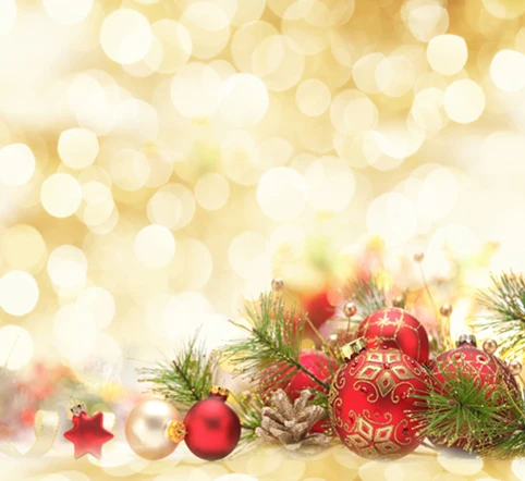 

10X10ft thin vinyl photography Christmas backgrounds Computer Printed children Photography backdrops for Photo studio CM-6461