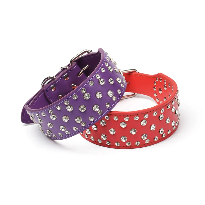 8 pet products 