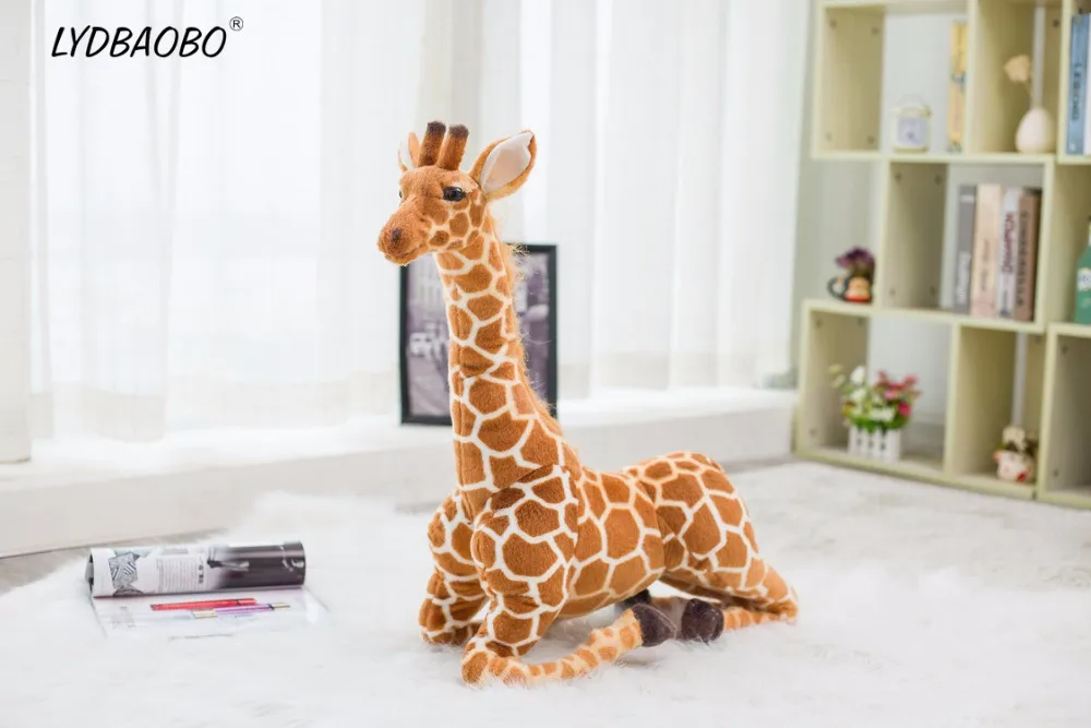 HTB1c_azfwLD8KJjSszeq6yGRpXaz