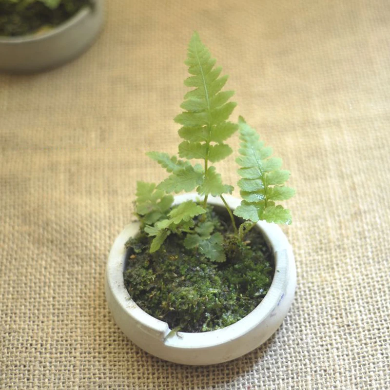 Flower pot molds Round Ashtray Molds DIY Concrete Craft Moulds Clay