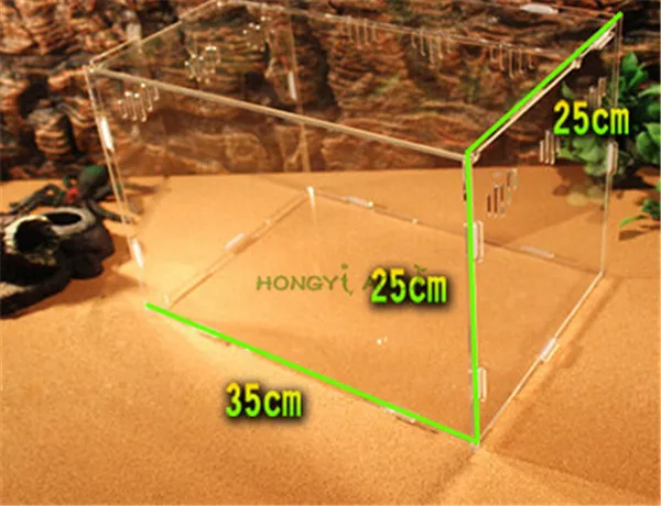 Акриловый Террариум для рептилий идеально подходит для личинок пауков - Цвет: 35 25 25