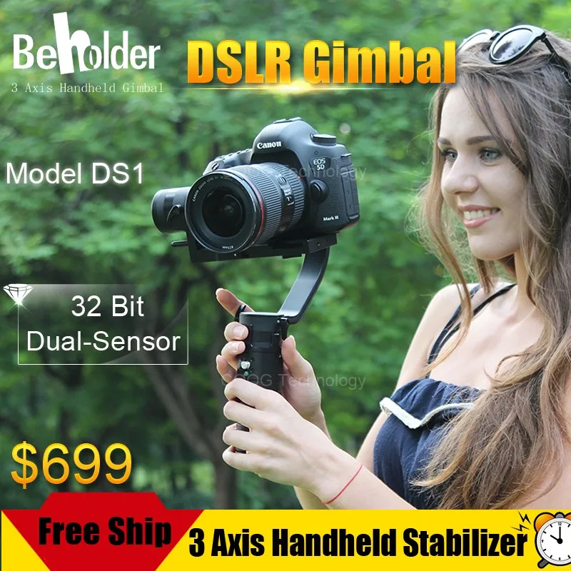 DS1 gimbal 