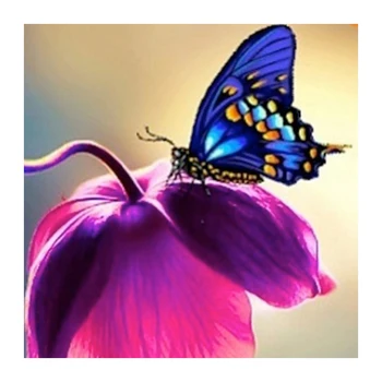 

Diy diamond painting Flowers butterfly 30x30 diamond rhinestone pasted painting diamond cross stitch home living room decoration