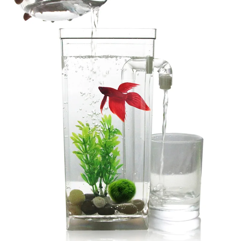

Quail 9 Inch Aquarium,Fish Tank,Plastic,Tabletop Fish Tank,Self-cleaning