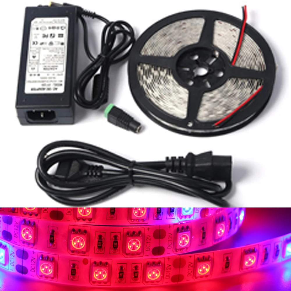 

Full spectrum LED Grow light DC12V 1/5M 5 red 1 blue Waterproof LED strip lamp for greenhouse plant Hydroponics + power adapter