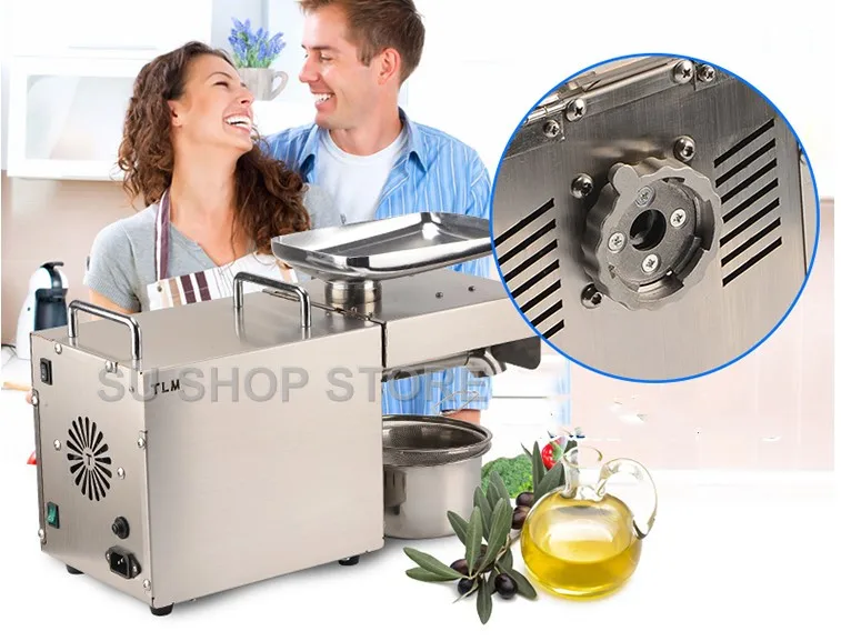 220V/110V Heat and Cold home oil press machine pinenut, cocoa soy bean olive oil press machine high oil extraction rate