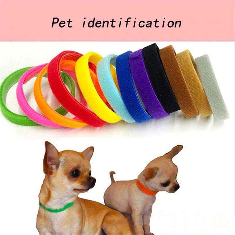 puppy identity collars