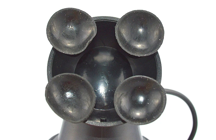 29