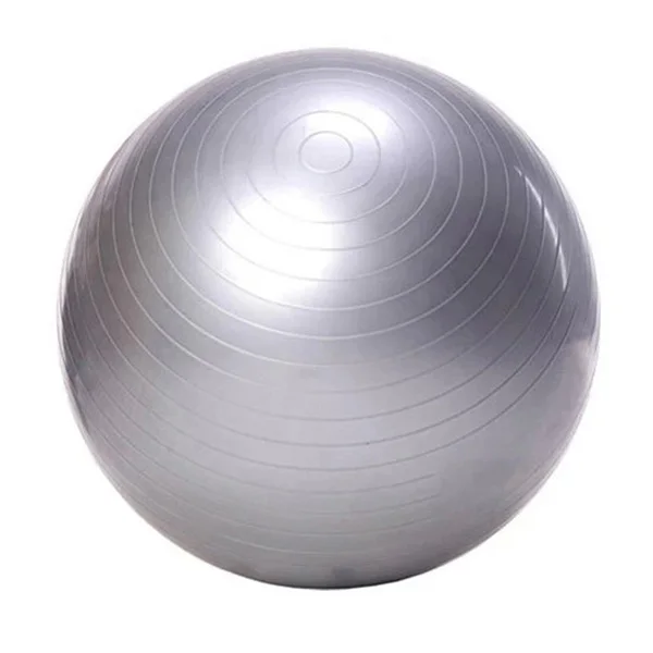 Fitness 55cm Yoga Ball Utility Yoga Balls Pilates Balance Sport Fitball