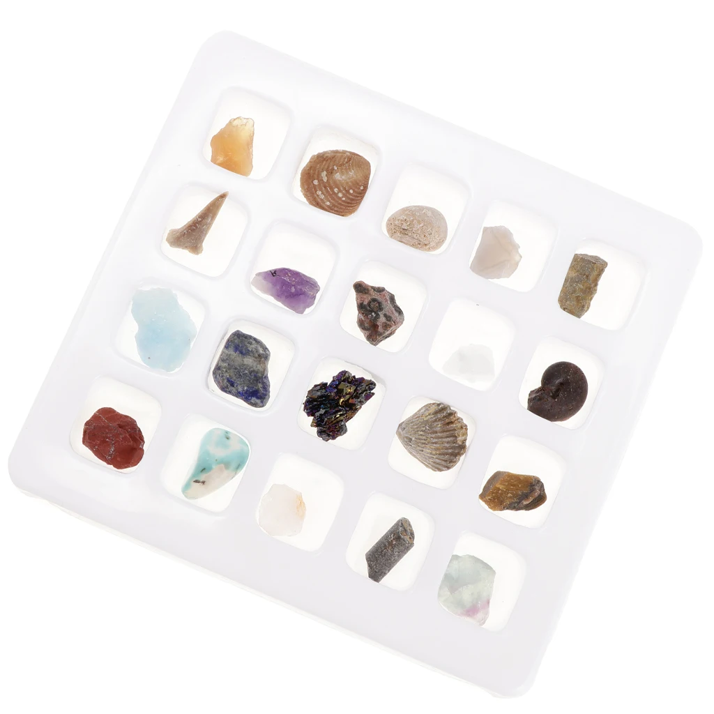 Pack of 20 Educational Geology Science Kit Rock and Mineral Collection