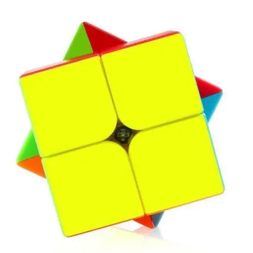 

Qiyi 2x2x2 Magic Cubes Stickerless Speed Cube 3D 2X2 Puzzle Twist Toys for Kids Puzzle Cube Educational Toy For Children