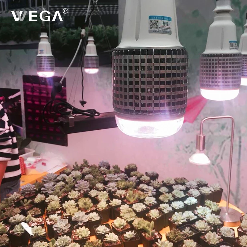 WEGA светодиодный полный спектр растения выращенные лампа парниковых овощей