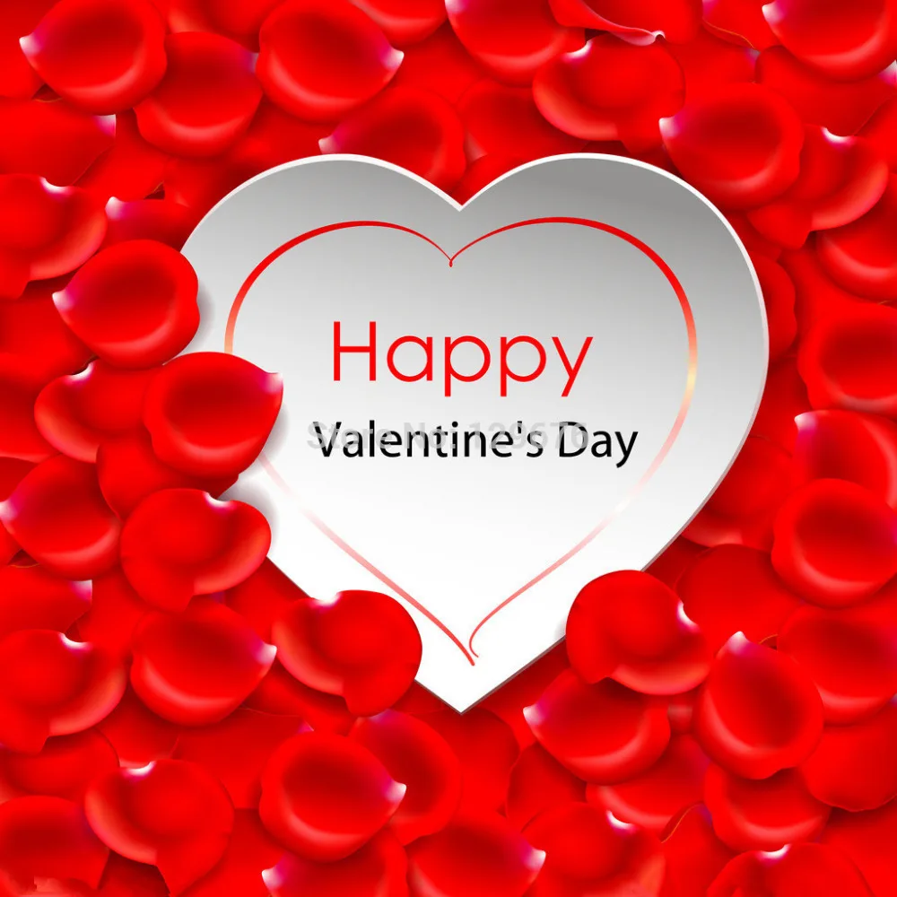

10x10ft Valentine's day theme Photography Backdrops Vinyl Prop Photo Studio Background QRL317