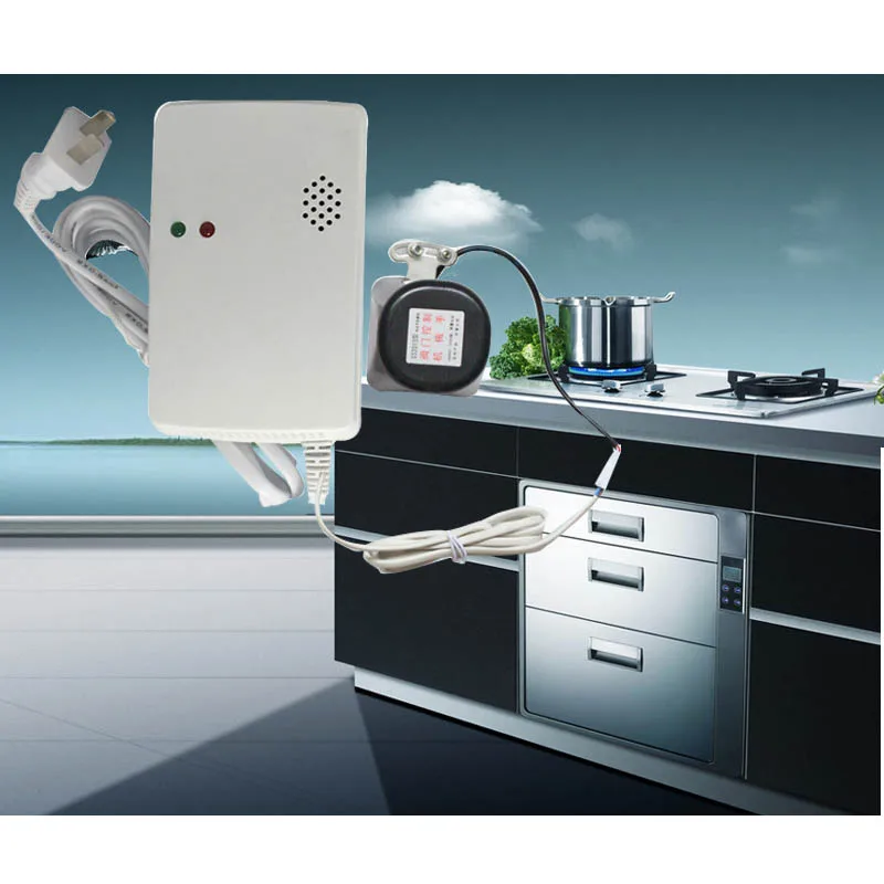 gas detector 005