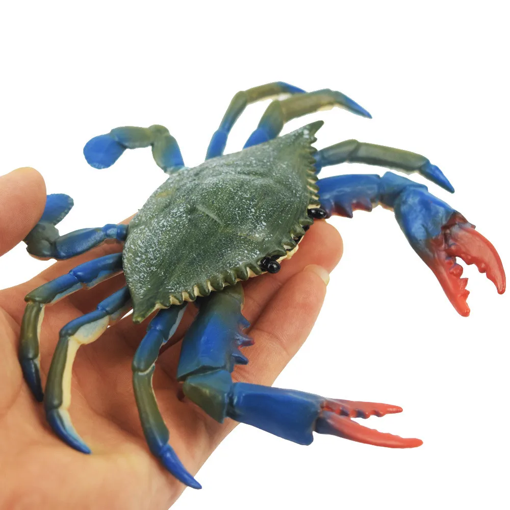 Education Simulated Crab Model Cartoon Summer Wash Toy Bathroom Playing Water