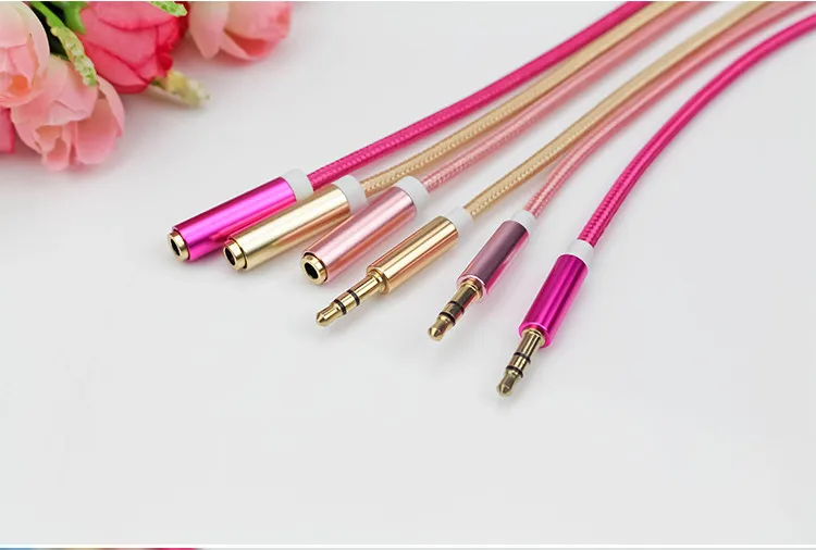 audio cable (10)