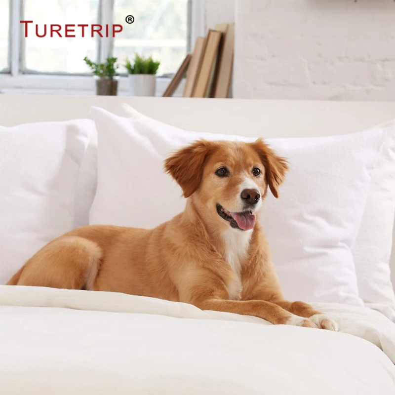  Turetrip Twin Full Queen King Smooth Waterproof Mattress Cover For Bed Mattress Protecto Machine Wa