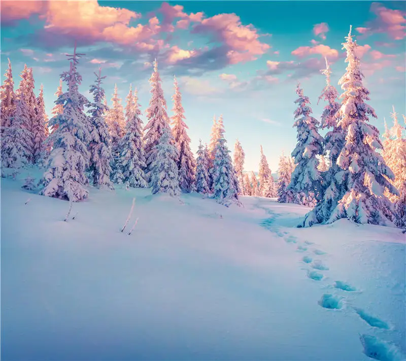 

KIDNIU Clouds Photography Background Photo Props Winter Snow Trees Wallpaper Vinyl Screen Backdrops 6x6ft win1377