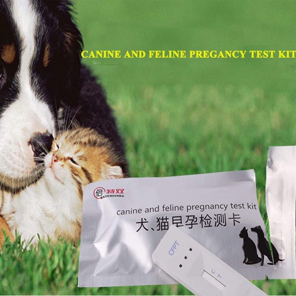 Pregancy Test Kit Canine Feline Paper Strip Pregnancy Disposable Cat