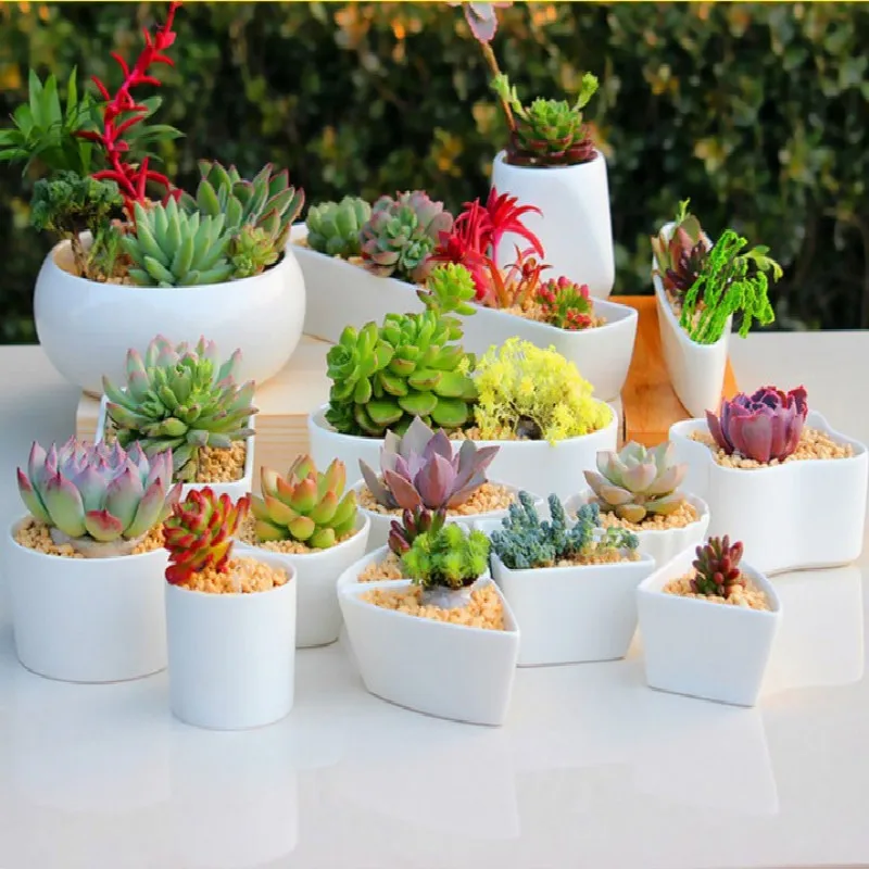 

2019 Ceramic Flower Pots for Juicy Plants Small Bonsai Pot Home and Garden Office Decor Mini Succulent Plant Pots Decoration E