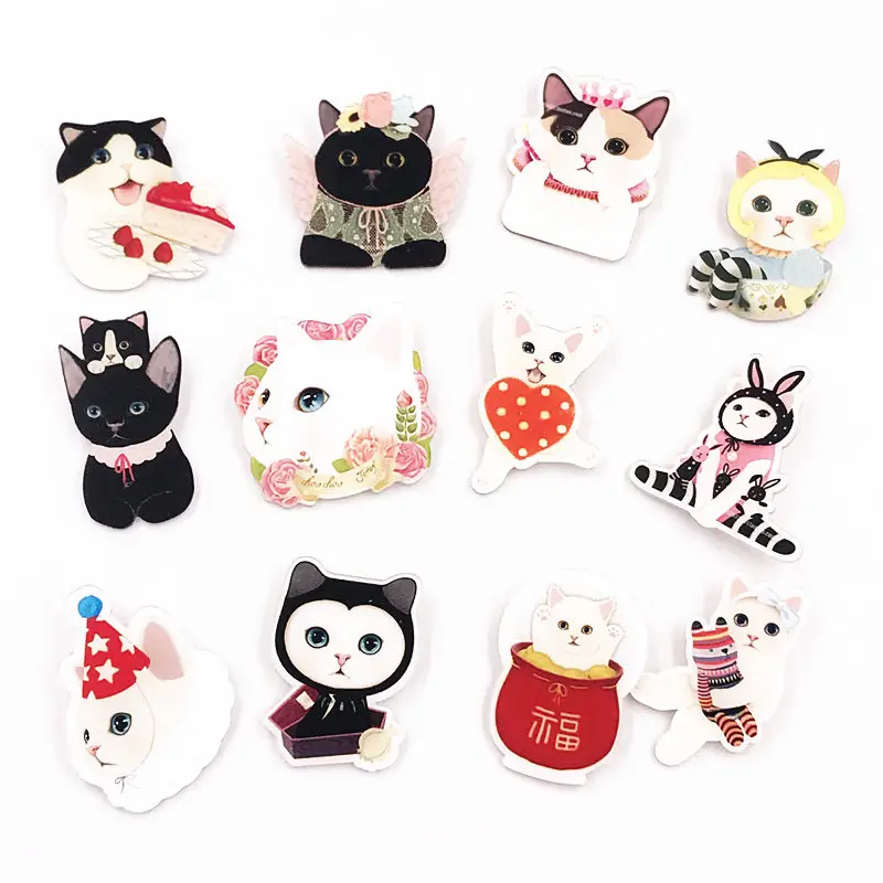 12Pcs Cute Cartoon Animal Cat Acrylic Brooch For Women Clothes Badge Icons On The Backpack Brooches Pins Kids Gift | Украшения и