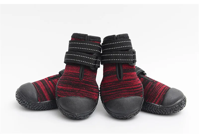 dog shoes (4)