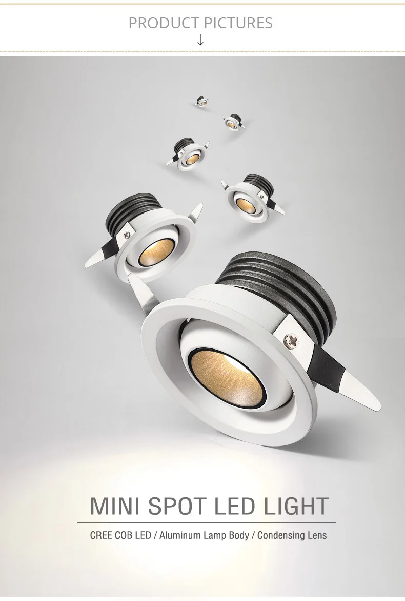 790 06328025_1407495463副本副本