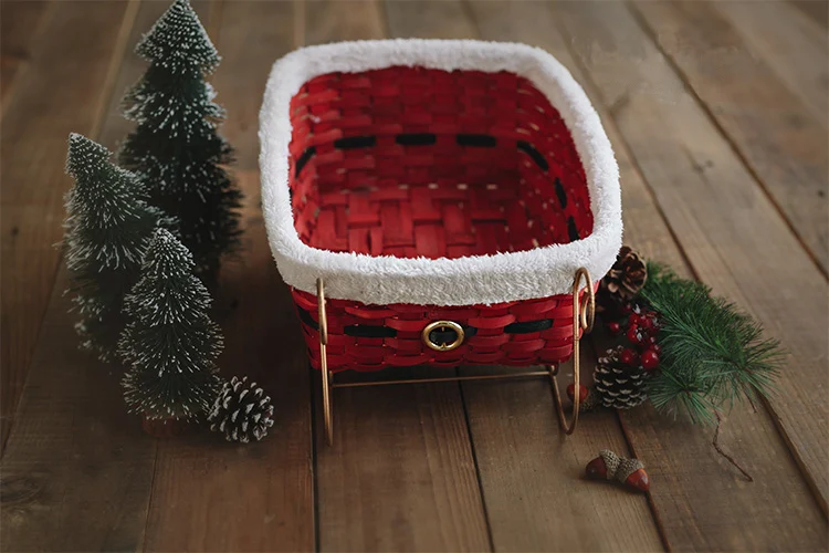 Newborn Photography Christmas Props