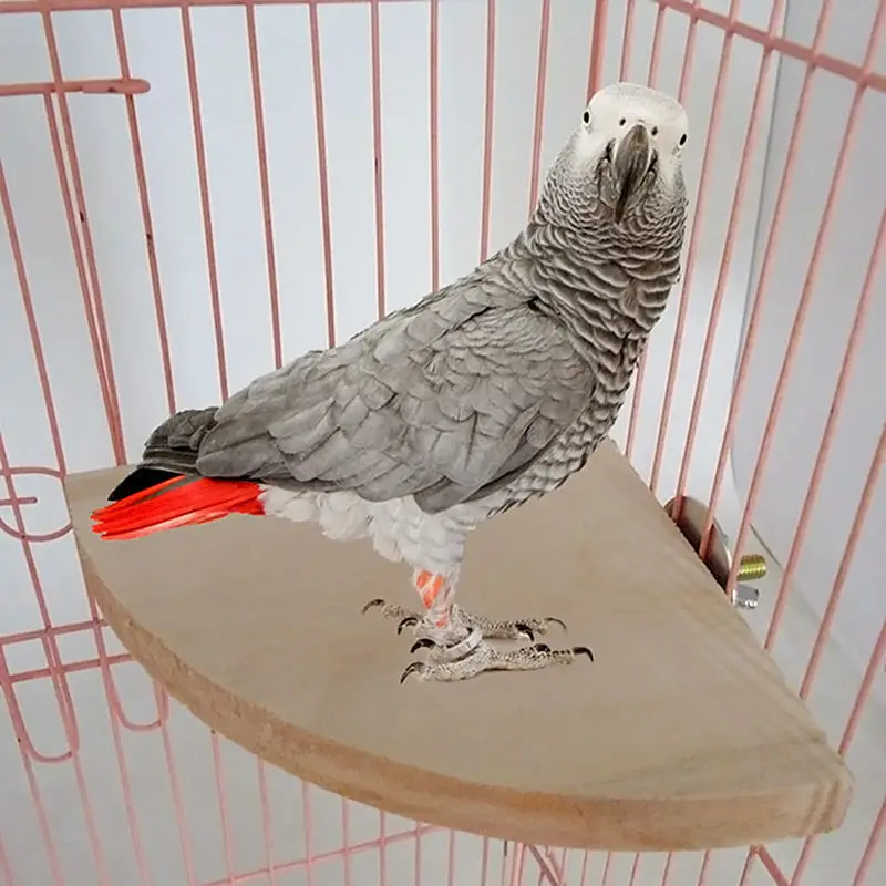 

New&Practical Fan Wood Coin Parrot Bird Cage Perches Stand Platform Pet Parrot Hanging Toy TB Sale