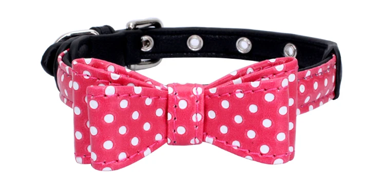 dog collar (10)