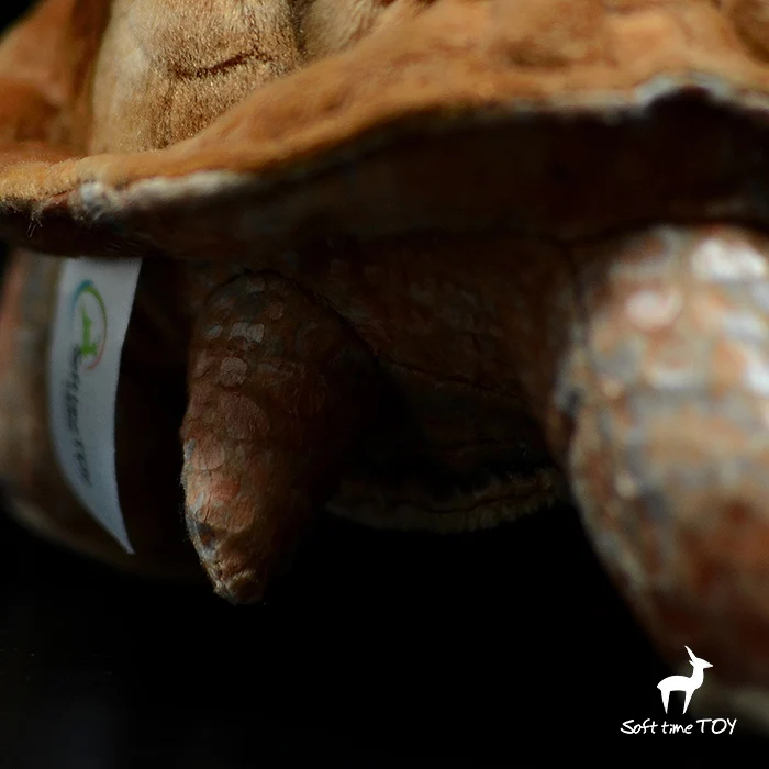 Мягкие животные куклы игрушечные лошадки мягкая реальная жизнь плюшевые Galapagos черепахи игрушки Праздничные подарки