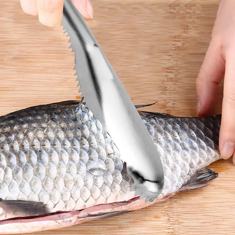 

Outdoor Fishing Tools Stainless Steel Scraper Scales Fish Scale Planers Go Fish Scales Brush Fish Scales Kitchen Peeler Tool