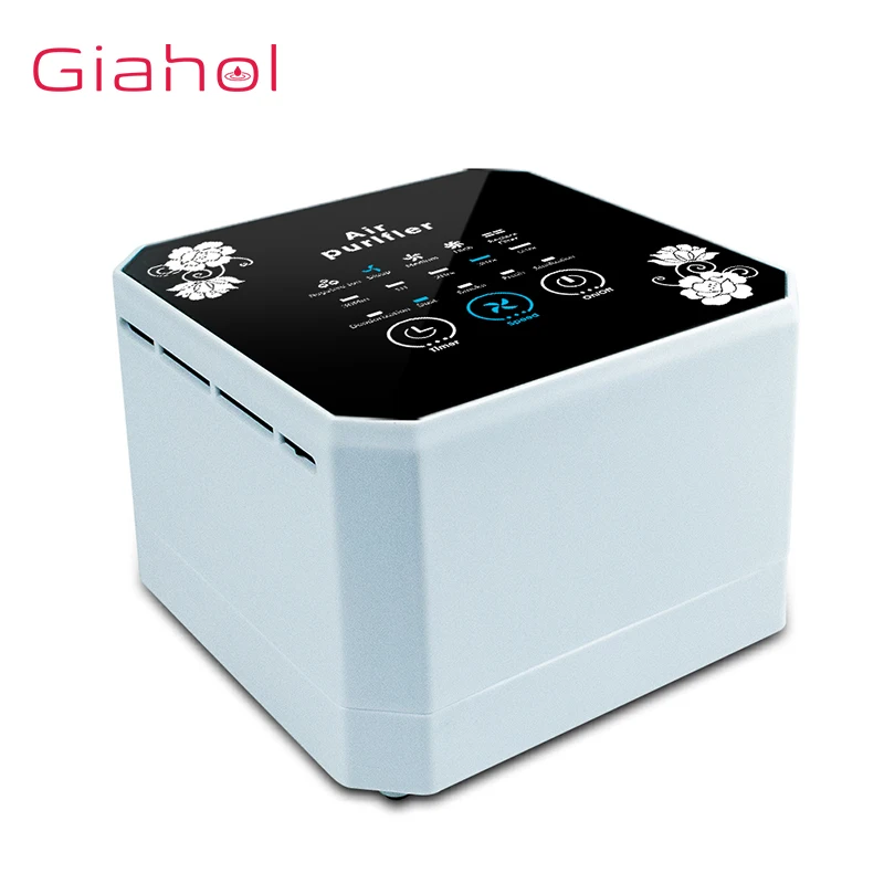 

Negative Ion Generator Air Purifier For Home With True HEPA Filter Desktop Mini Air Ionizer Compact Air Cleaner for Home